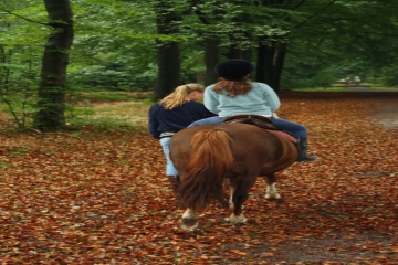 Paardrijden Drenthe
